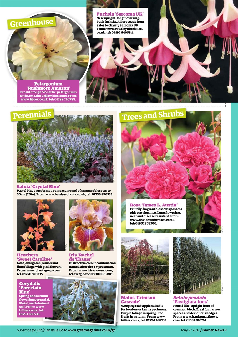 Garden News Preview Pages