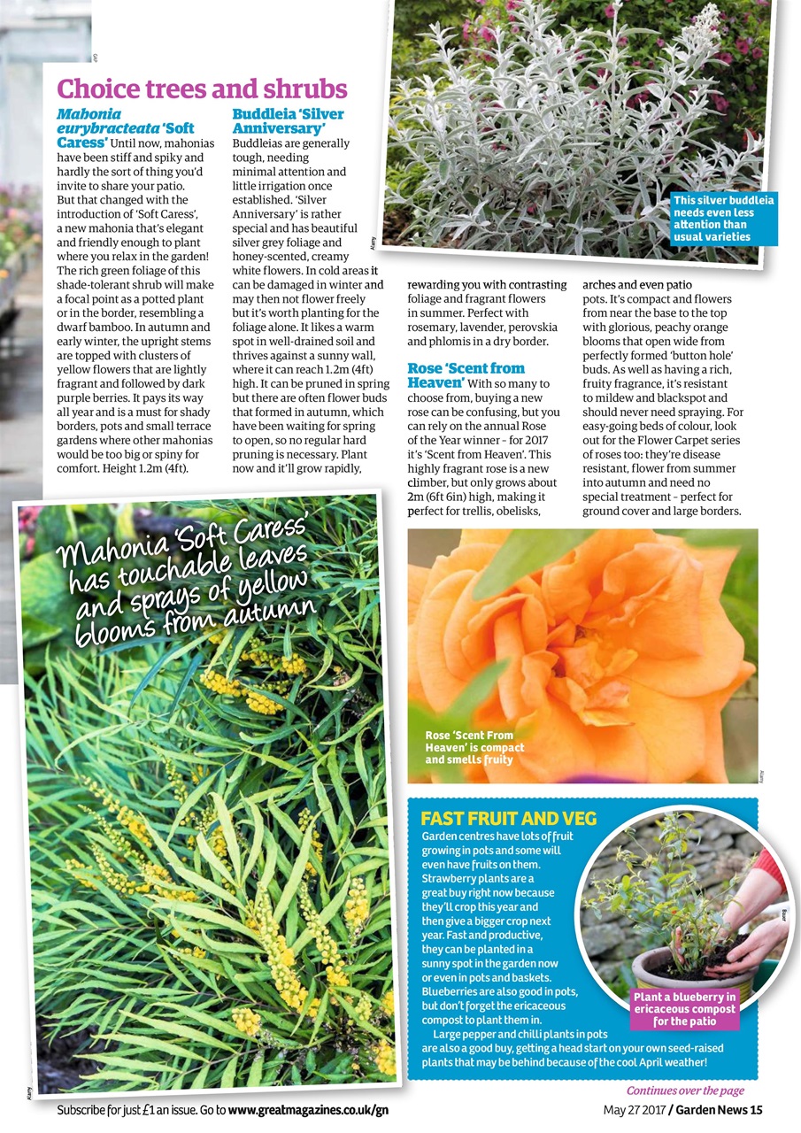 Garden News Preview Pages