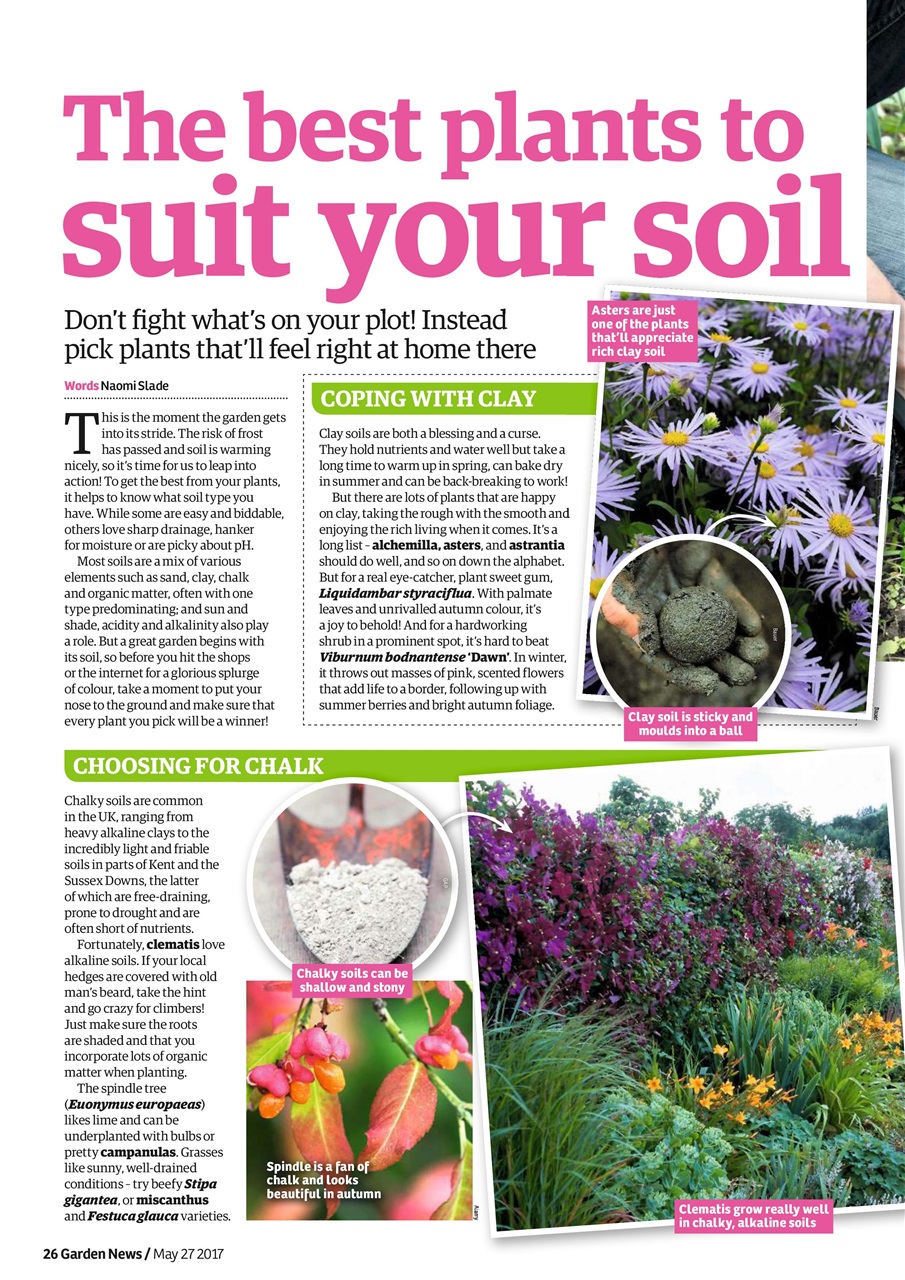Garden News Preview Pages