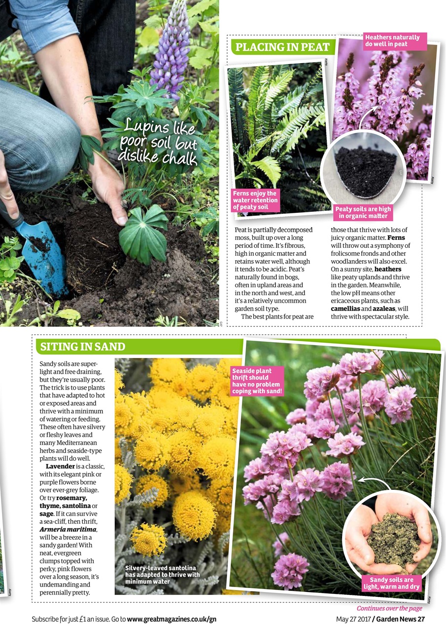Garden News Preview Pages