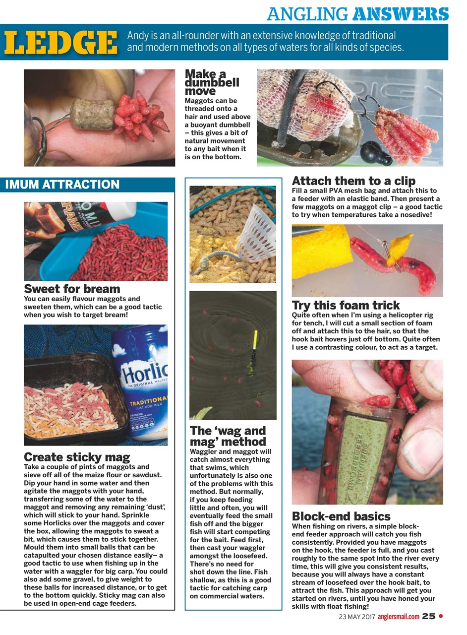 Anglers Mail Preview Pages