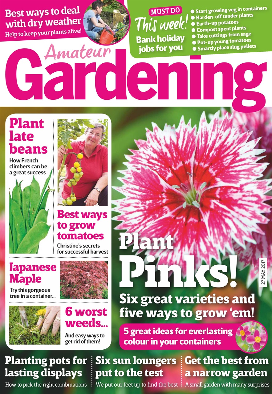 Amateur Gardening Preview Pages
