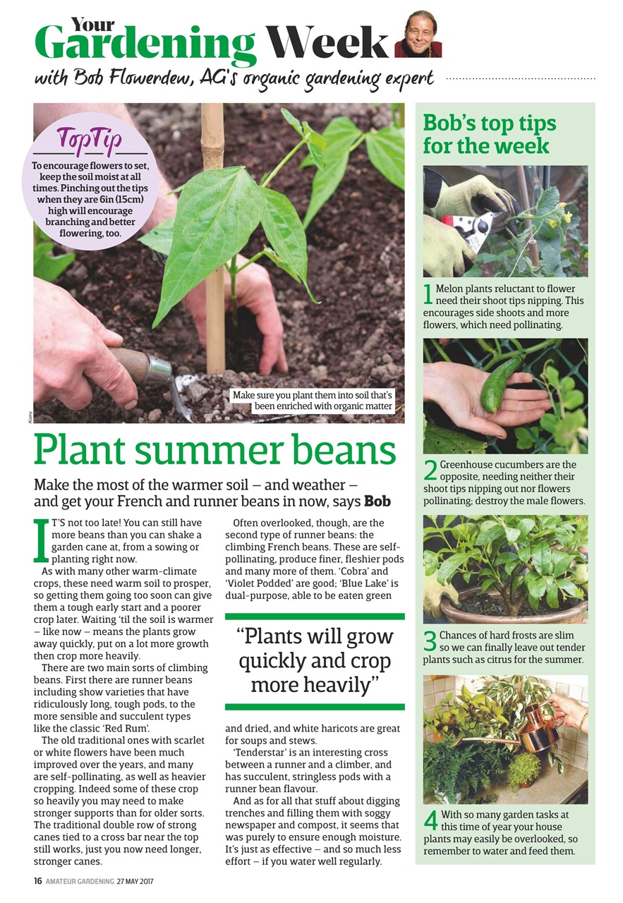 Amateur Gardening Preview Pages