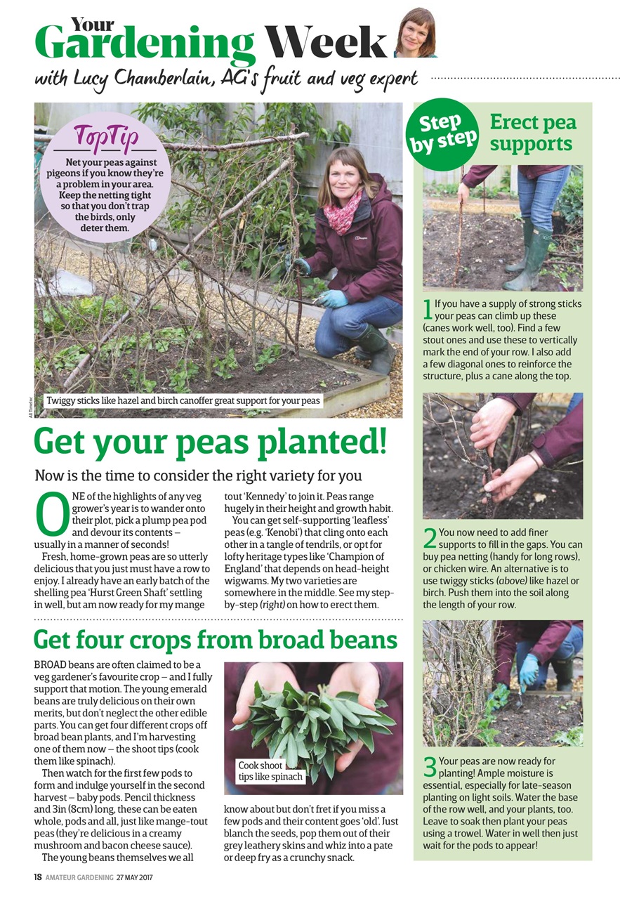 Amateur Gardening Preview Pages