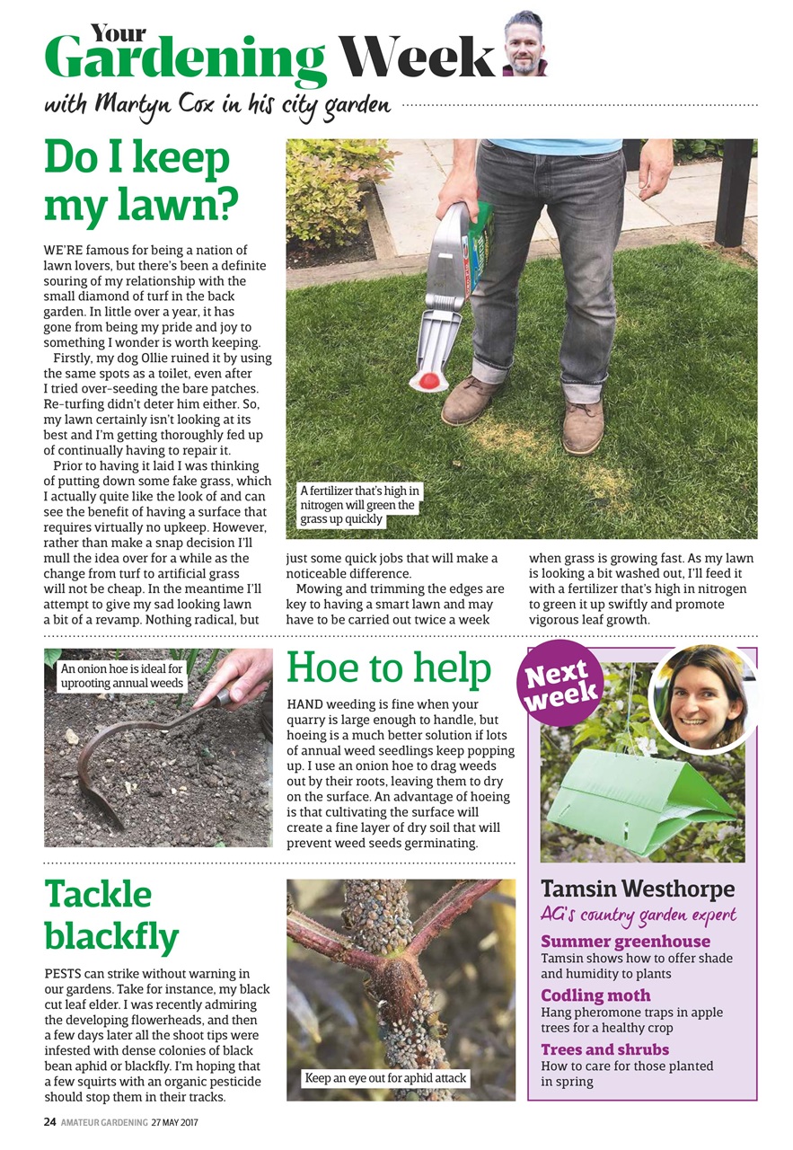 Amateur Gardening Preview Pages