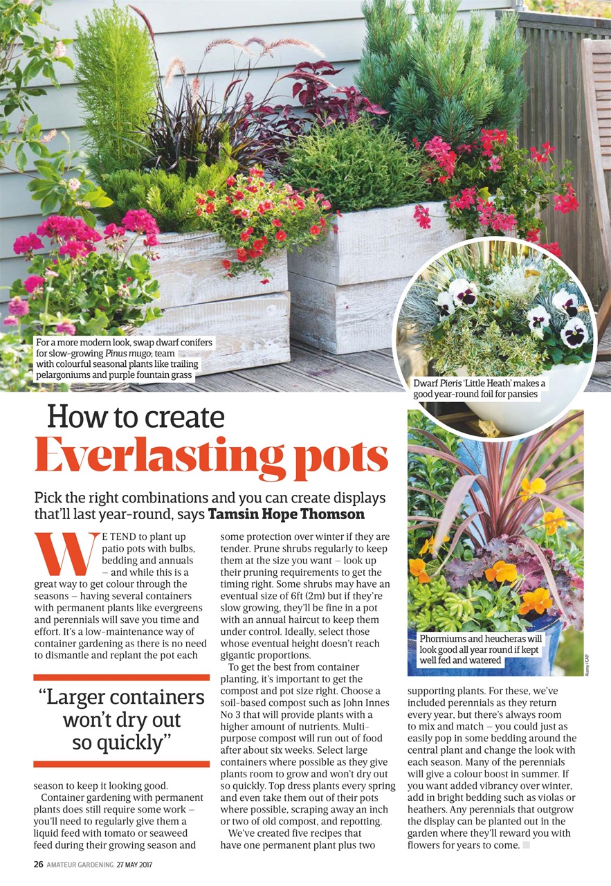 Amateur Gardening Preview Pages