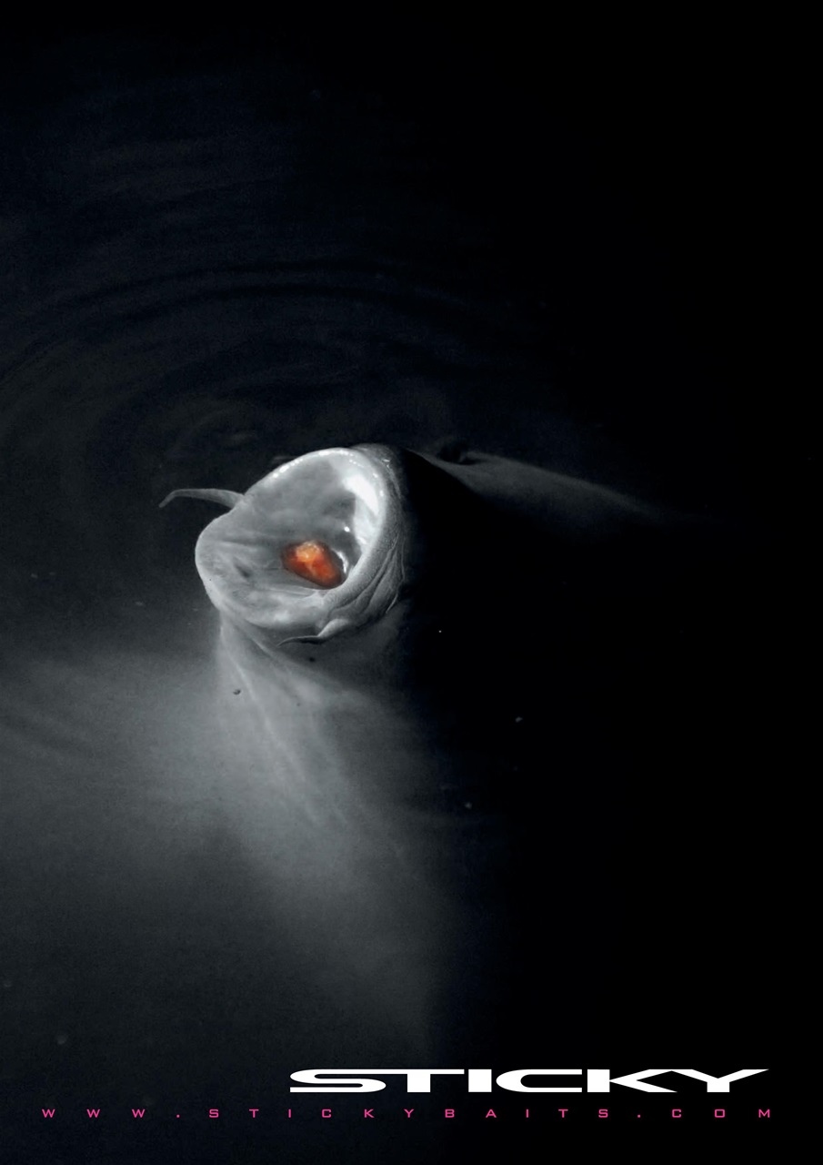 Carpworld Preview Pages