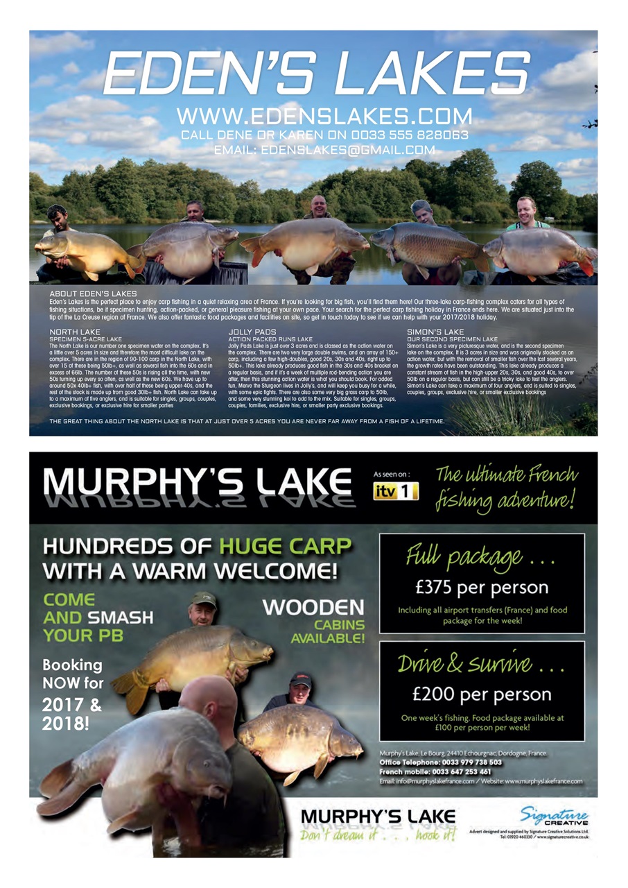 Carpworld Preview Pages