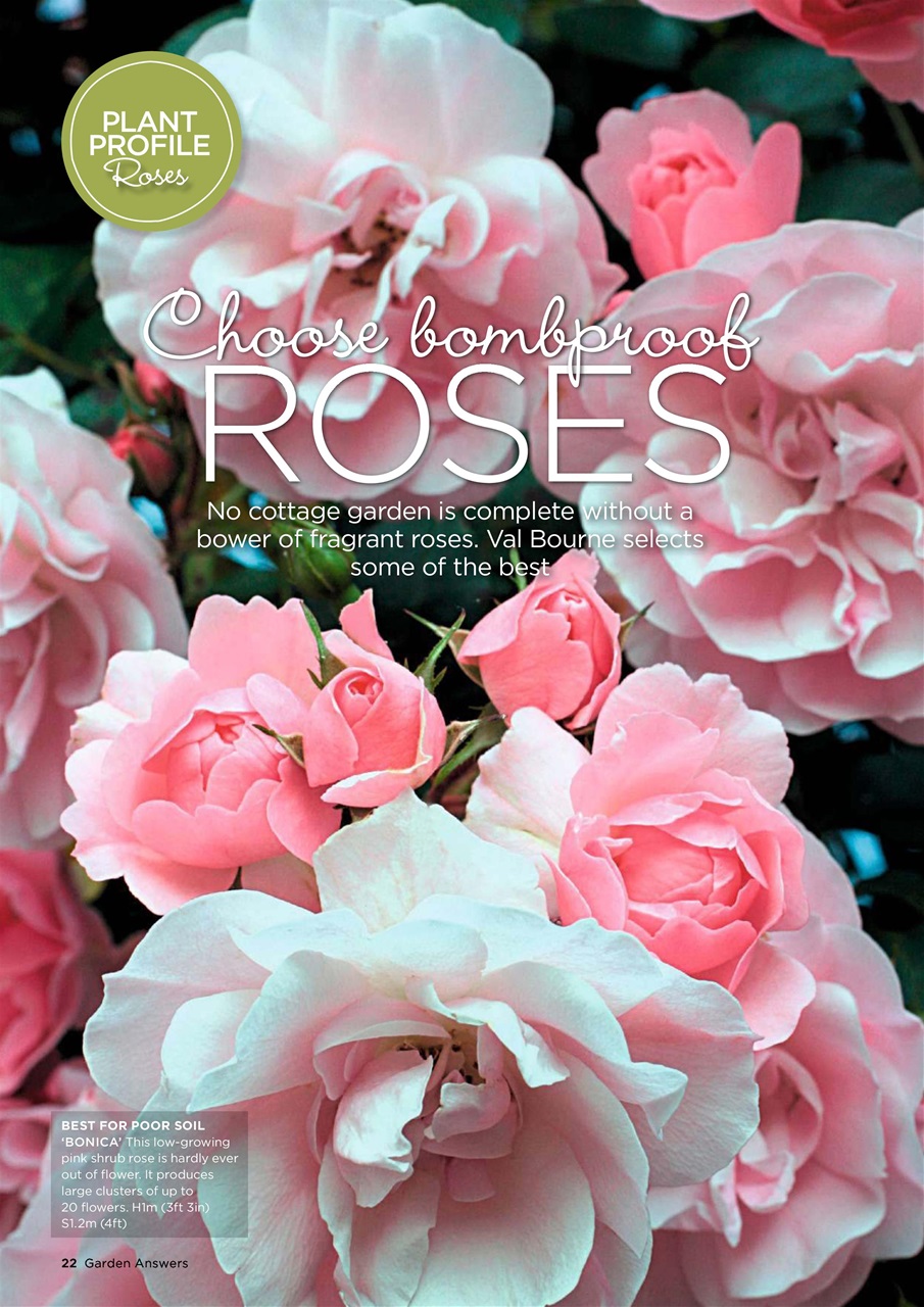 Garden Answers Preview Pages