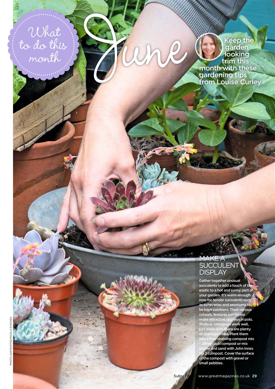 Garden Answers Preview Pages
