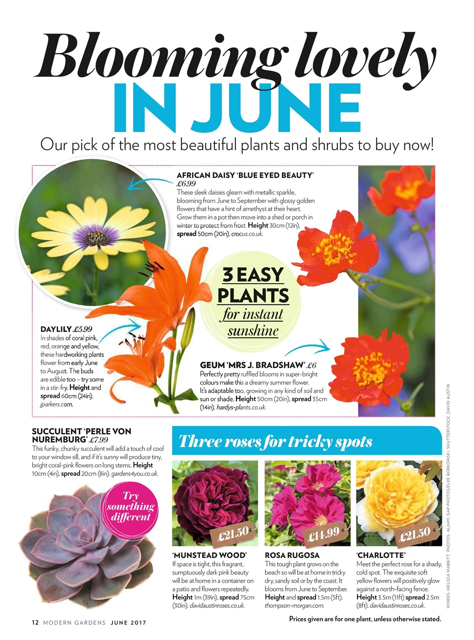 Modern Gardens Preview Pages