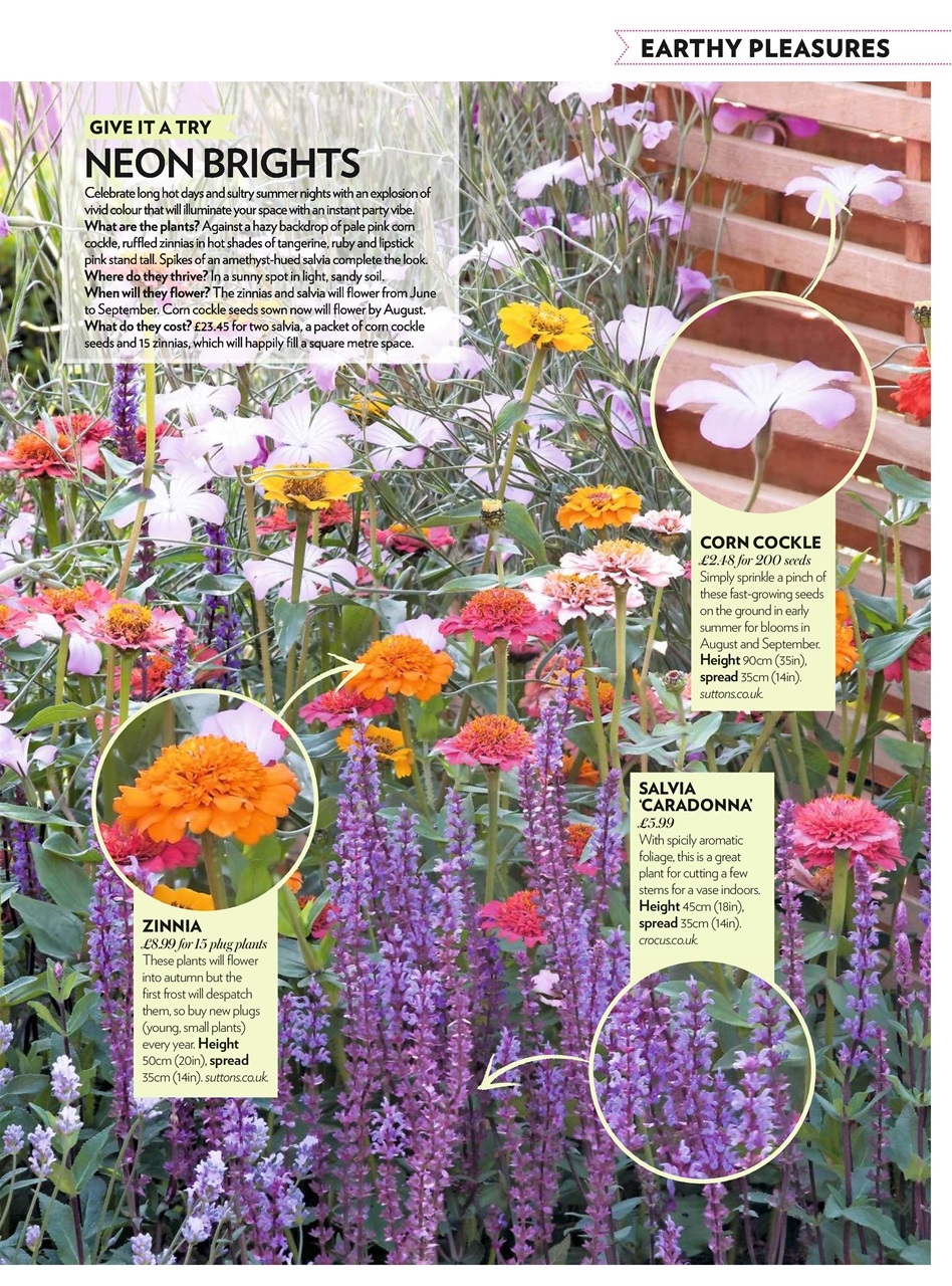 Modern Gardens Preview Pages