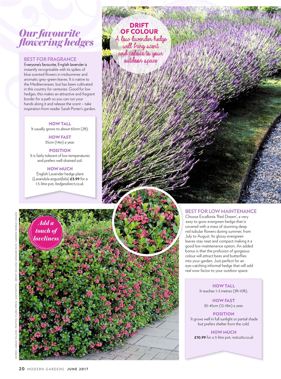 Modern Gardens Preview Pages
