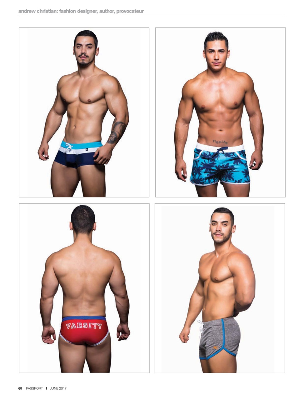 Passport Preview Pages