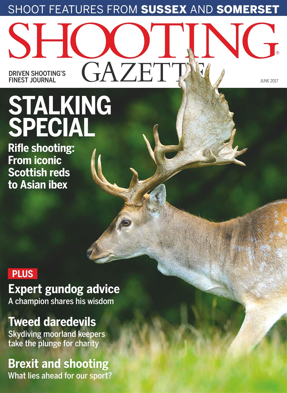 Shooting Gazette Preview Pages