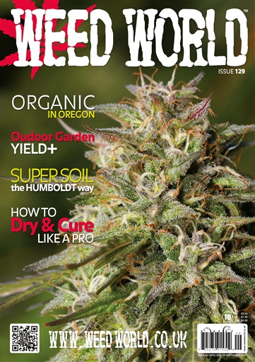 Weed World issue 