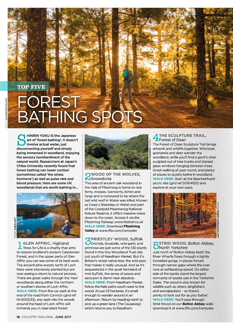 Country Walking Preview Pages