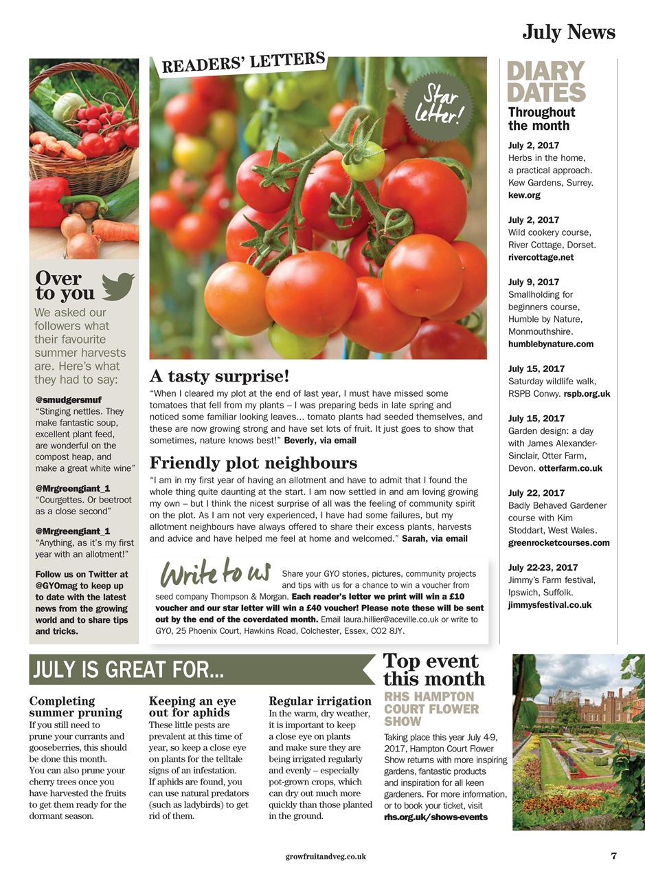 Grow Your Own Preview Pages