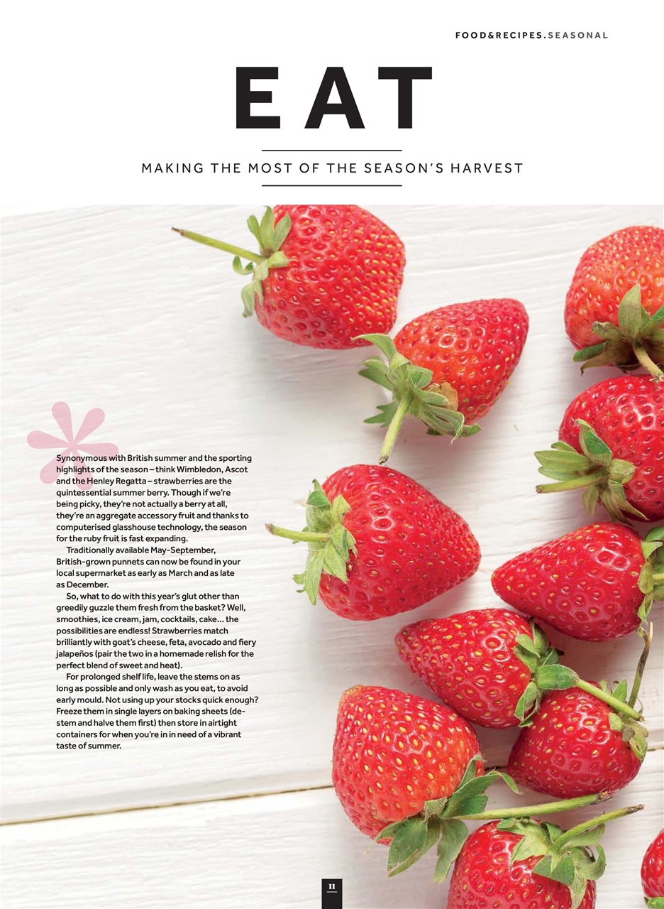 Veggie Magazine Preview Pages