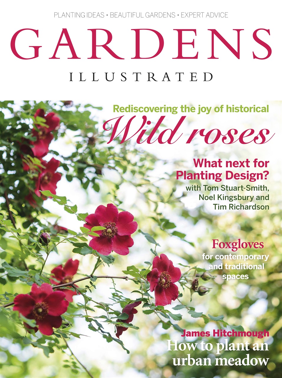 Gardens Illustrated Preview Pages