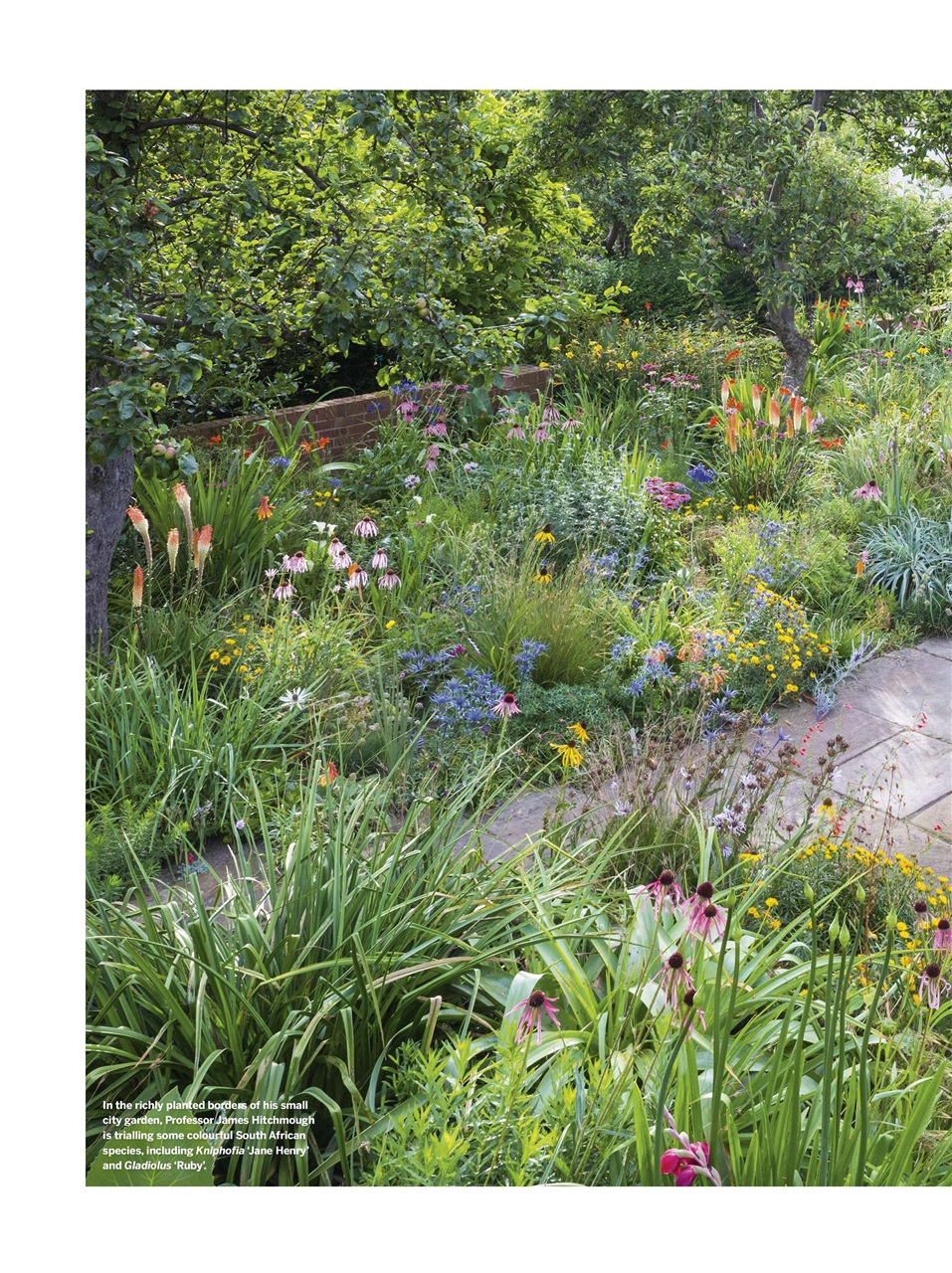 Gardens Illustrated Preview Pages