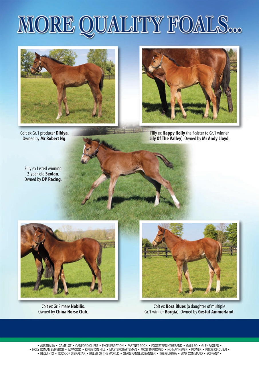 The Owner Breeder Preview Pages