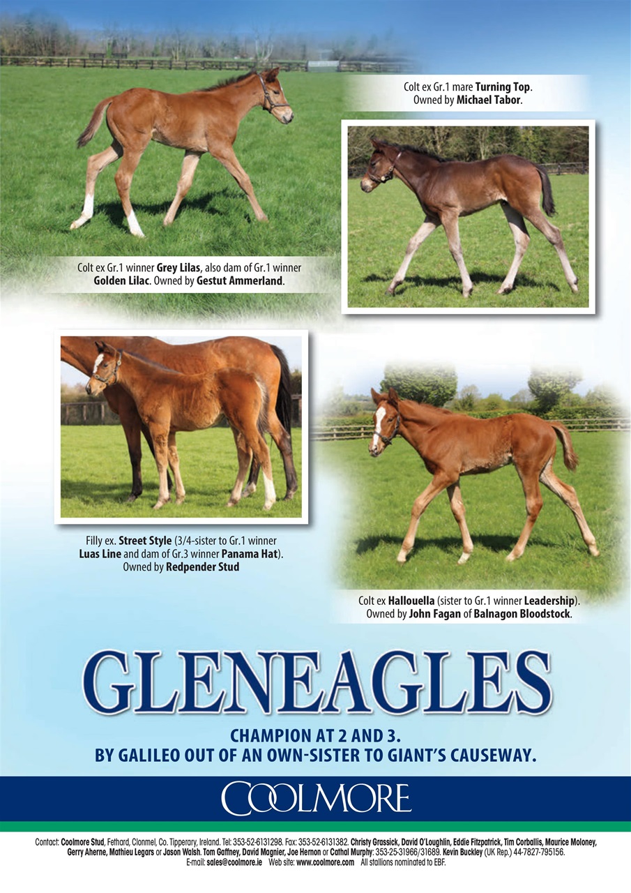 The Owner Breeder Preview Pages