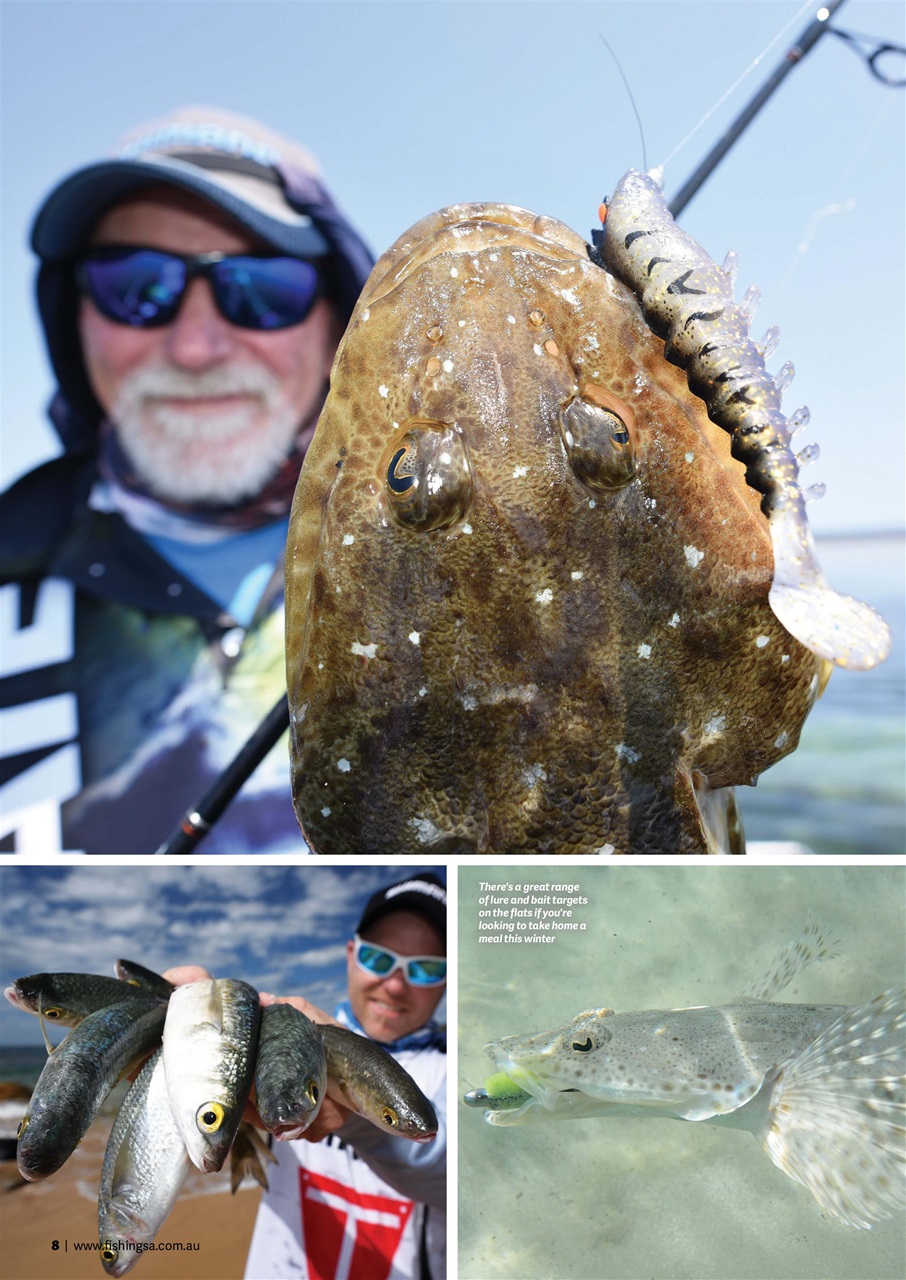 Fishing SA Preview Pages