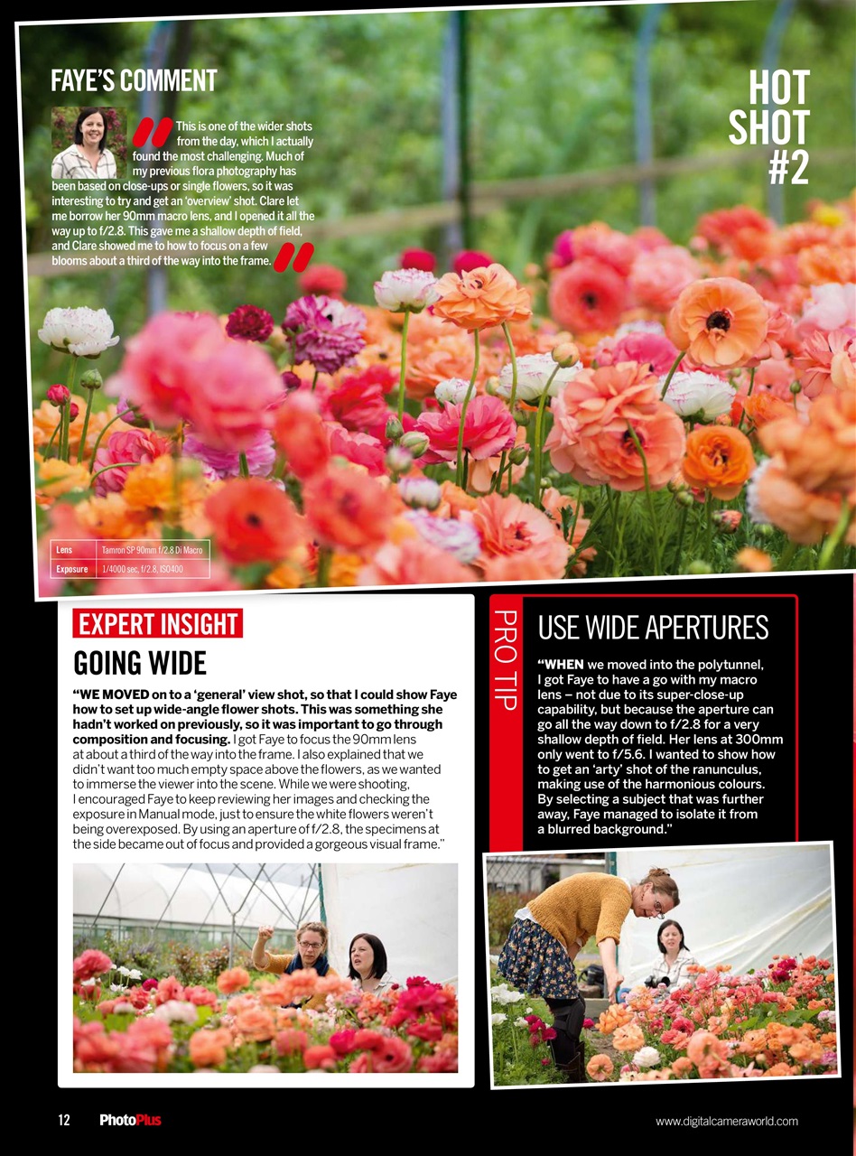 PhotoPlus Preview Pages