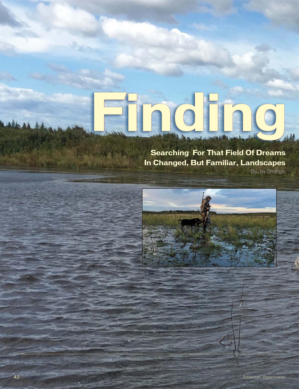 American Waterfowler Preview Pages