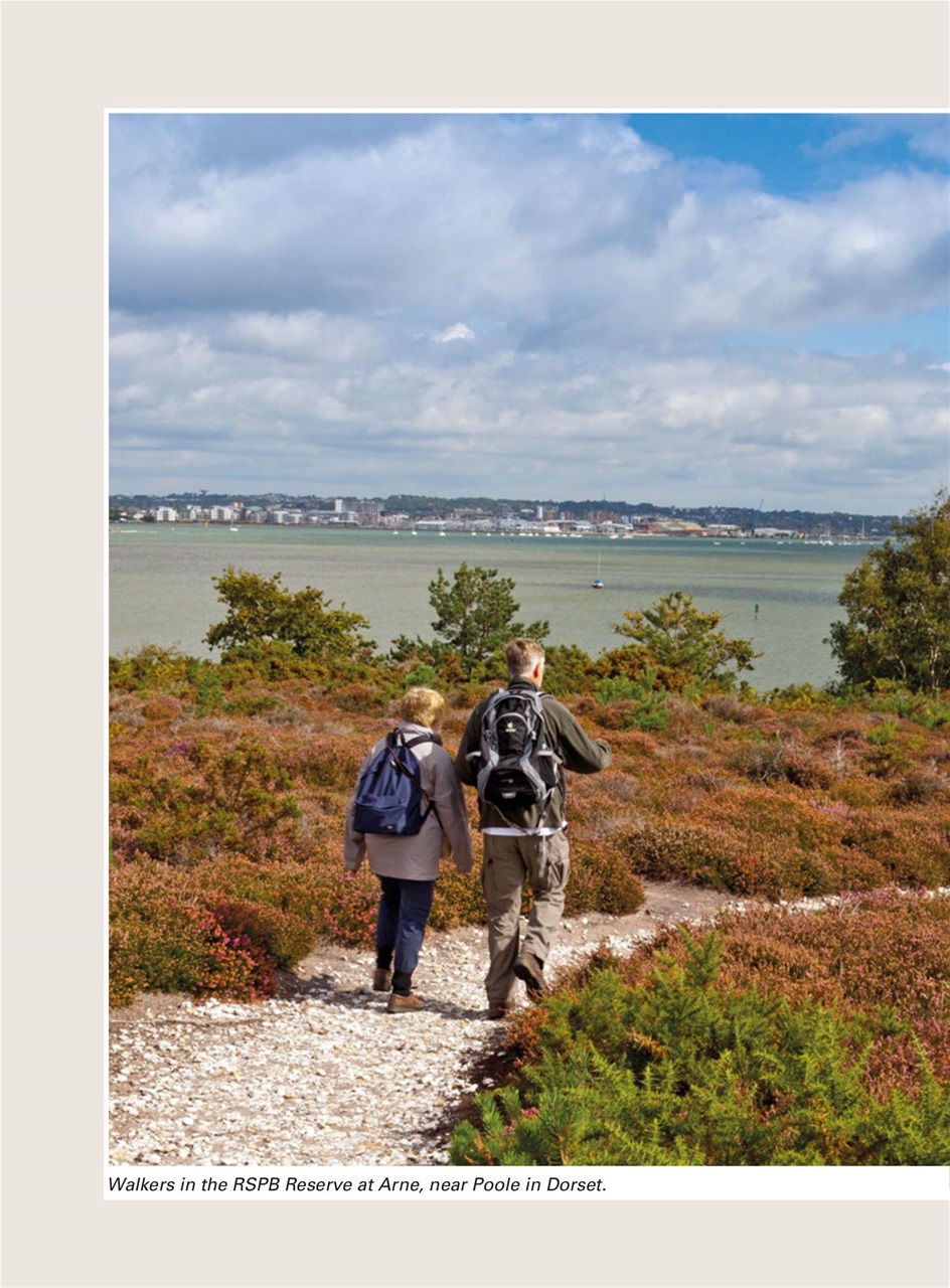 Evergreen Preview Pages