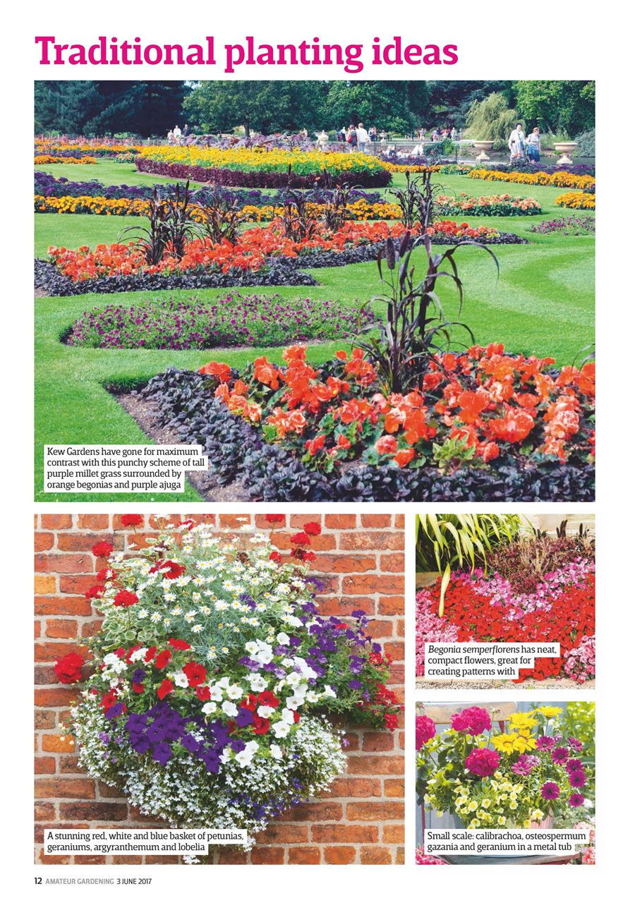 Amateur Gardening Preview Pages