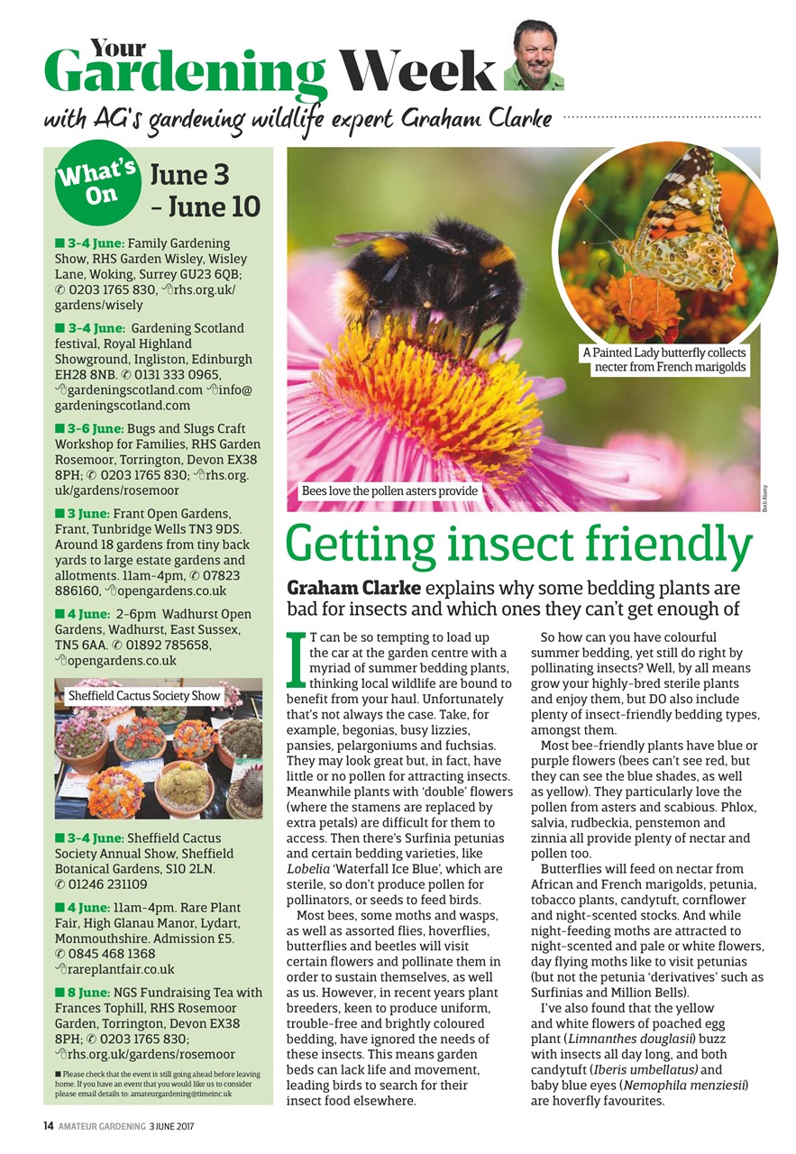 Amateur Gardening Preview Pages