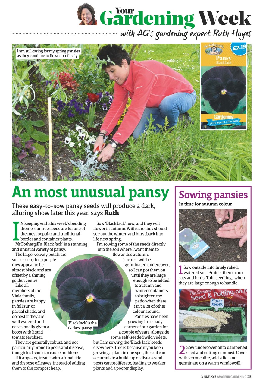 Amateur Gardening Preview Pages
