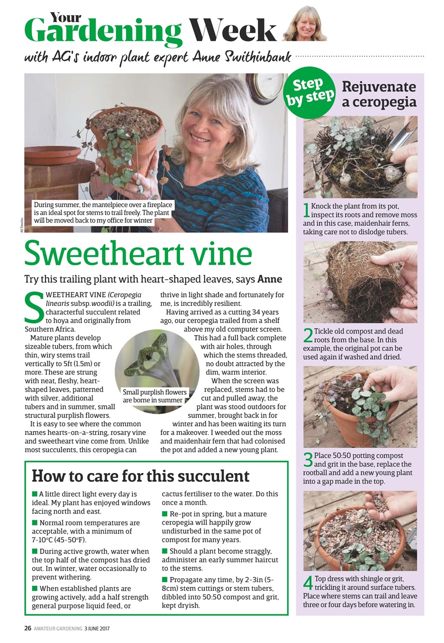 Amateur Gardening Preview Pages