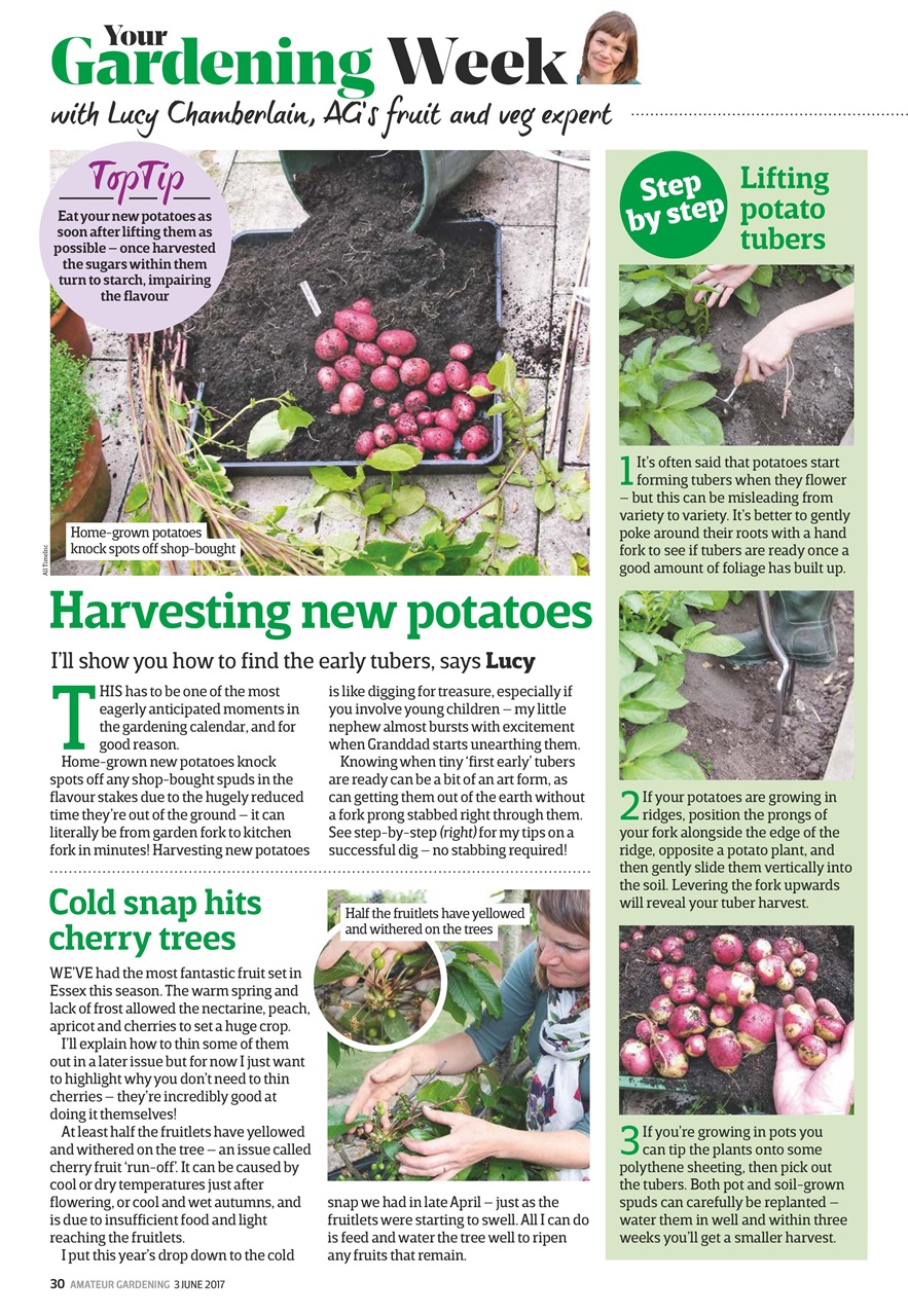 Amateur Gardening Preview Pages