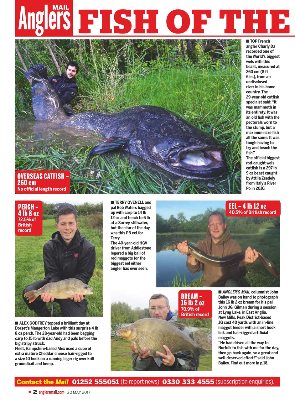 Anglers Mail Preview Pages