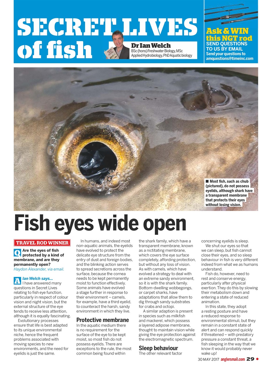Anglers Mail Preview Pages