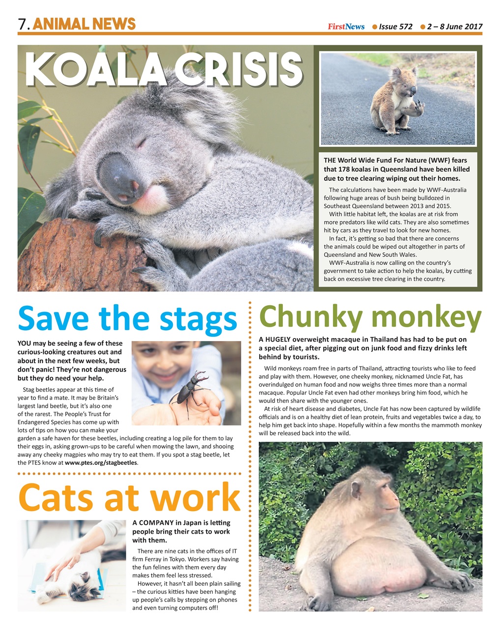 First News Preview Pages