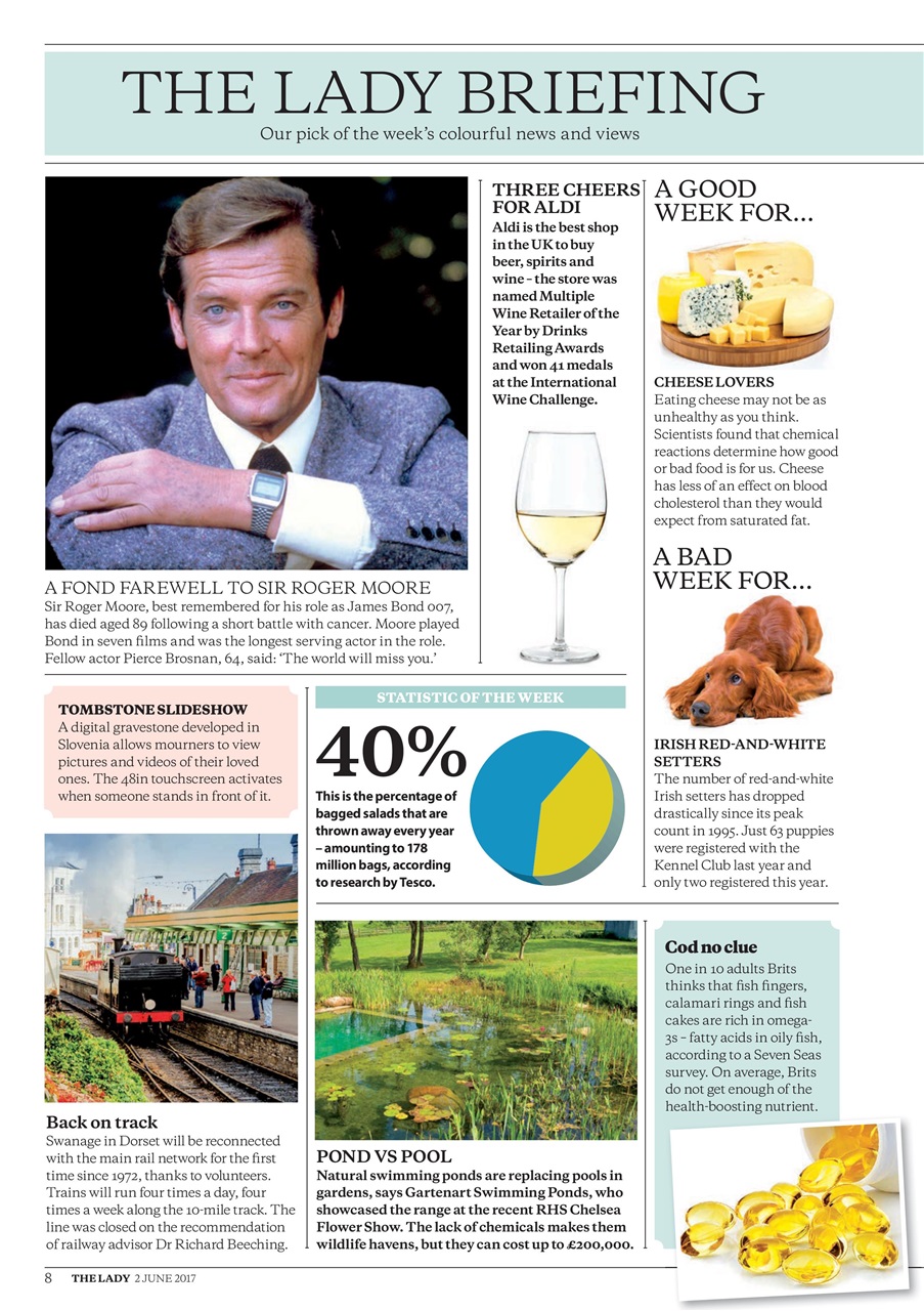 The Lady Preview Pages