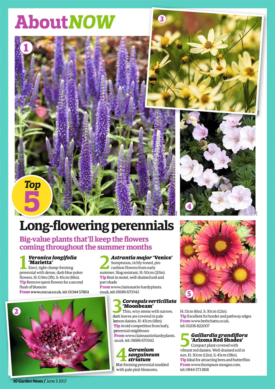 Garden News Preview Pages
