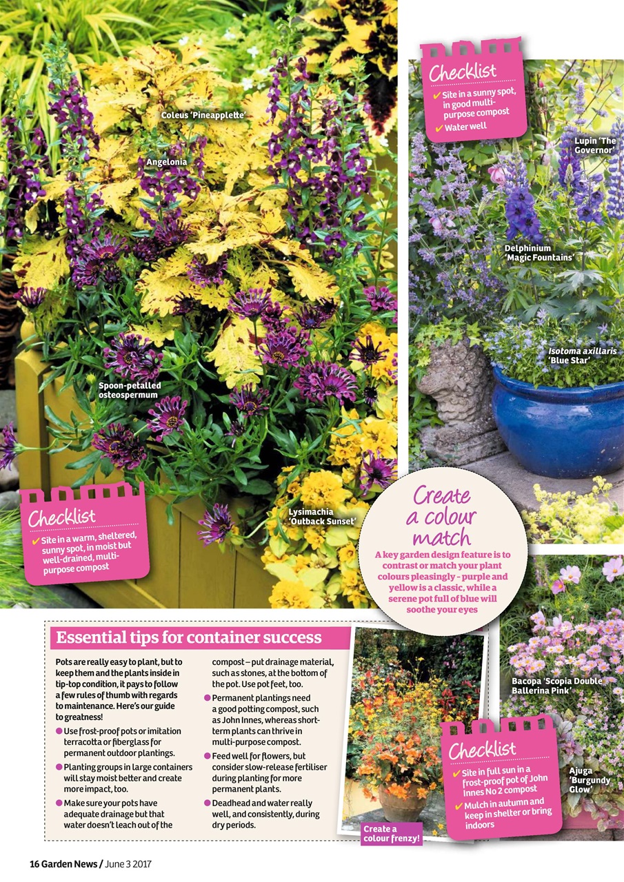 Garden News Preview Pages