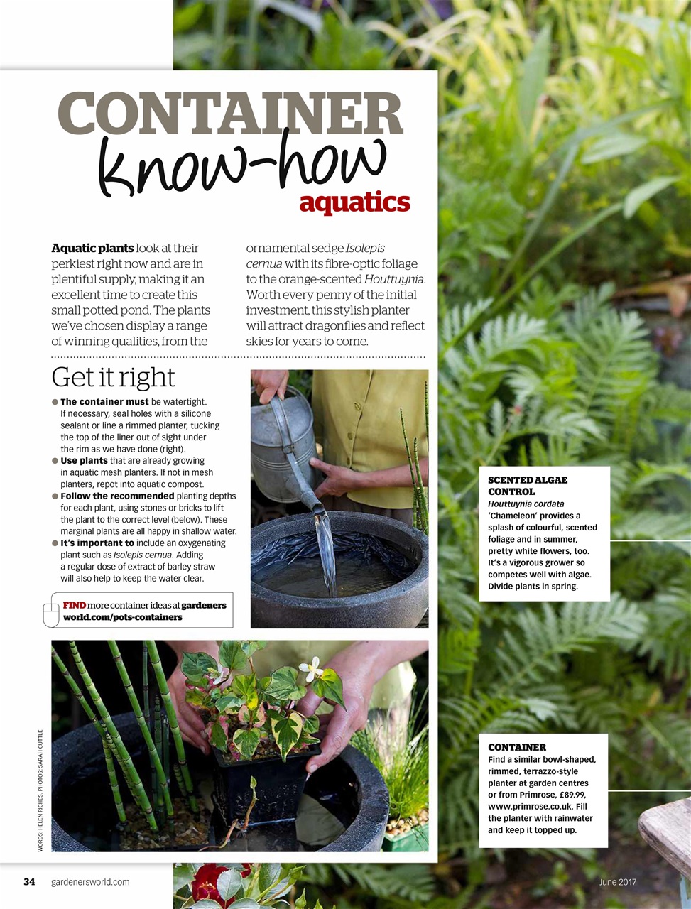 BBC Gardeners’ World Magazine Preview Pages