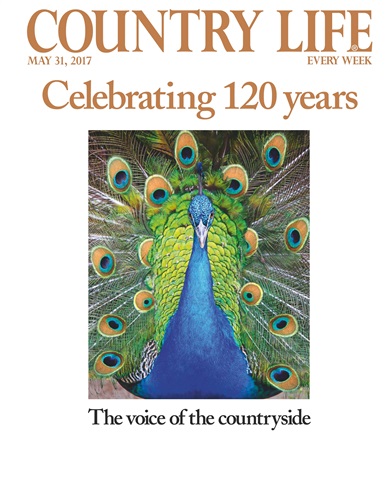 Country Life issue 31st May 2017