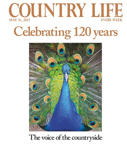 Country Life issue 