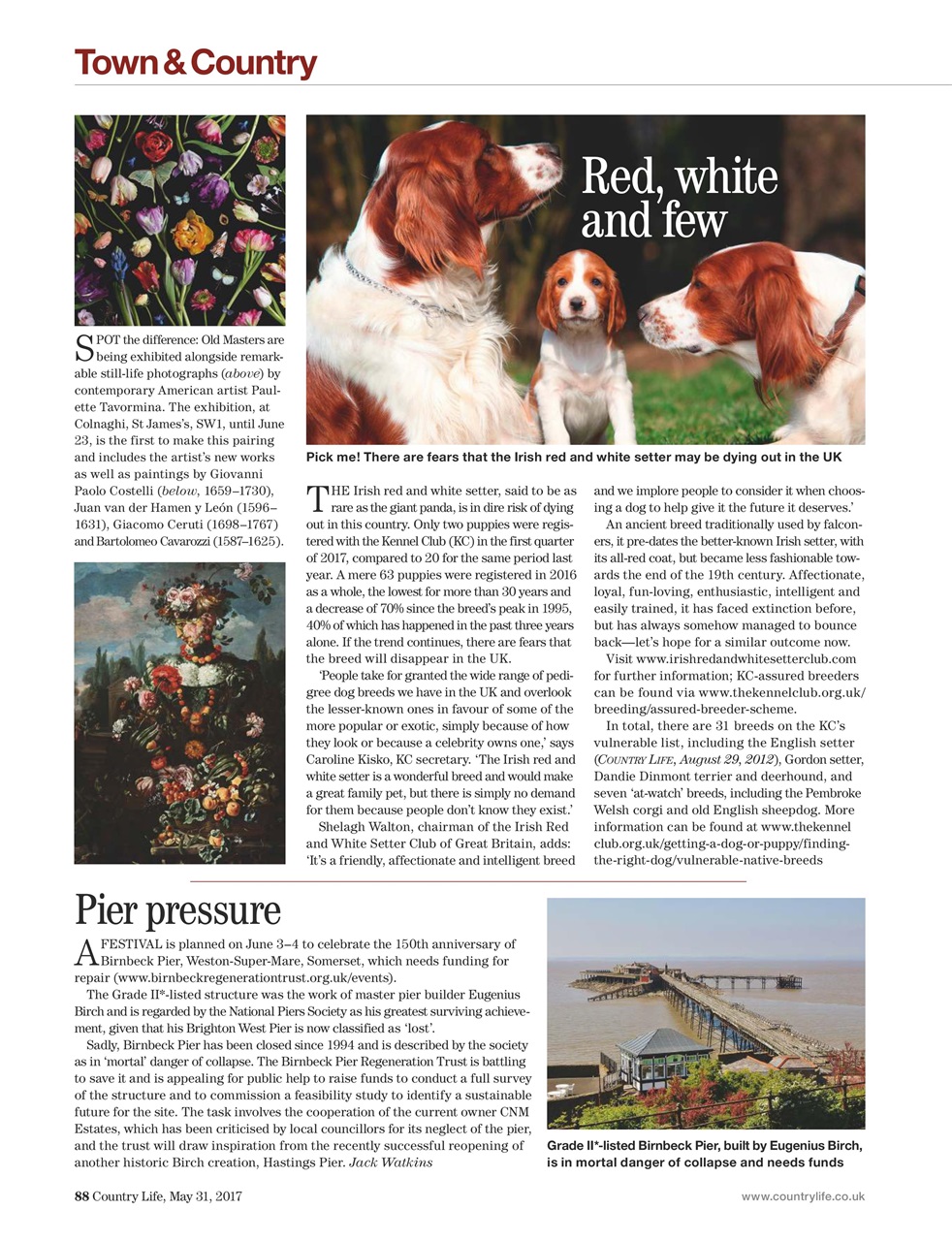 Country Life Preview Pages