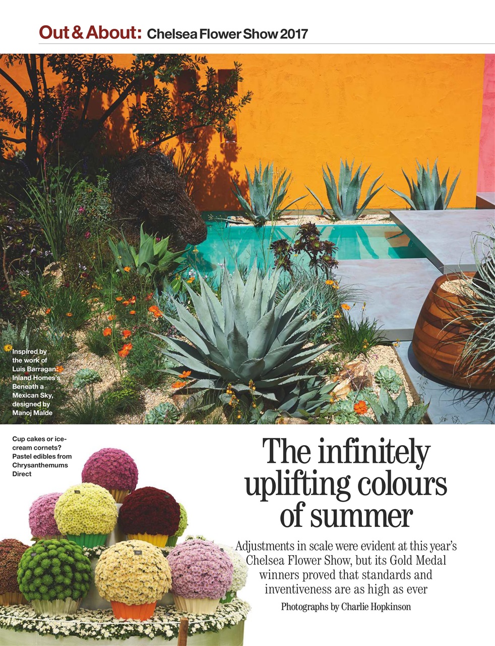 Country Life Preview Pages