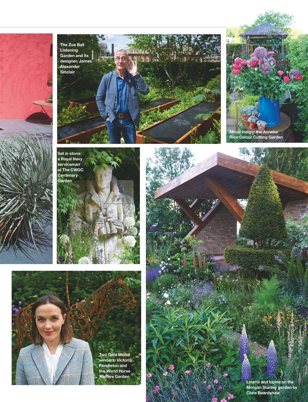 Country Life Preview Pages