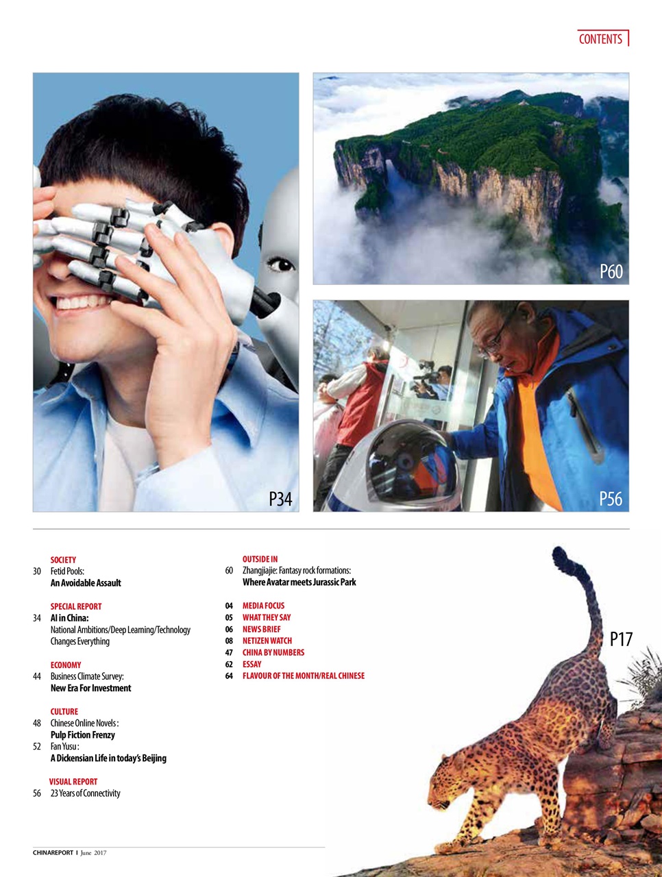 China Report Preview Pages