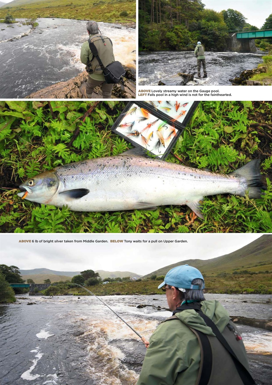 Trout & Salmon Preview Pages